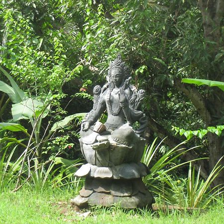 Sananda Bungalow Lovina Eksteriør bilde