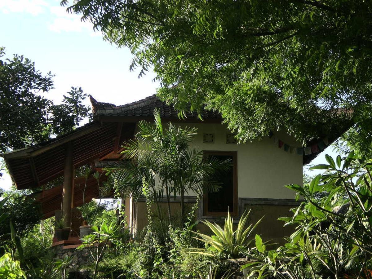 Sananda Bungalow Lovina Rom bilde