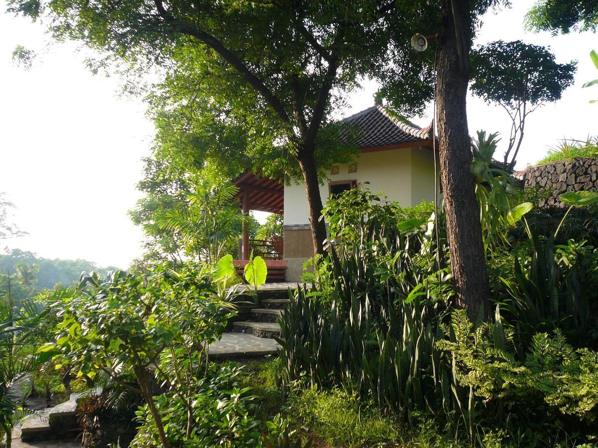 Sananda Bungalow Lovina Rom bilde